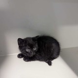 fdfb7eef-e723-4ff7-9762-69d6da8e155e