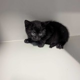 848225ee-075a-4c6d-a98c-0adab0ef5f16