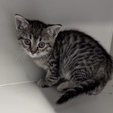 ebbb9610-9c00-43e1-8082-3064260ffc8a