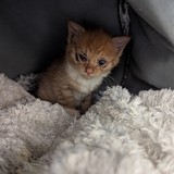 84d214b5-5d3f-4ee9-8ad5-eeee055b001d