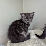 22f80fc5-9631-439d-8dcd-9815fa231f14