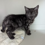 1005d104-b19a-49f8-8eb4-4862d13b4633