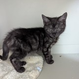 01433493-ea31-445f-97a6-47ea6d5ddec2