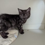 f273bd03-11bd-4447-8e9f-c06f43347112