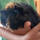 Messenger_creation_AC9F6215-9393-4B45-A8AA-35E9E55008F0