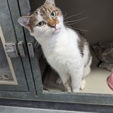 fbee3e61-14eb-4abd-89cc-22f79c78aa44