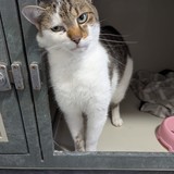 77bbf275-5533-46ab-a533-fd264118bf30