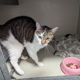 AE3BDAB4-BF0E-449B-AA91-10952045729F