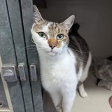 1A6EEE32-1519-43DF-8ADC-B4A211098150