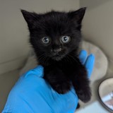 E4608607-42DC-422B-8931-DD06FD5C2CE6