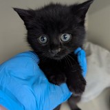 3B0DE311-6313-4D69-BC14-240C18BEF818