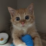 9fbaea9b-1354-4d43-b885-78a7b46f5843