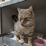 41fe4f86-c154-4229-9fa3-a3171de18793