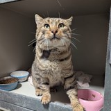 F6D914E6-79D1-4417-8315-17F0CC09B2E2