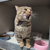 e179c244-c974-432b-bcf3-6fba55bf0e2f