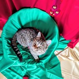 PXL_20251207_104844795~2