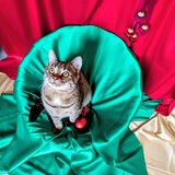 PXL_20251207_104853899~2