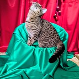 PXL_20251207_104814238~2