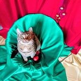 PXL_20251207_104851921~3