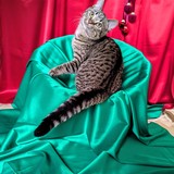 PXL_20251207_104813096.MP~2