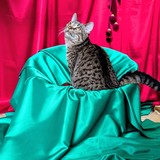 PXL_20251207_104742803~2