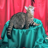 PXL_20251207_104554309~2