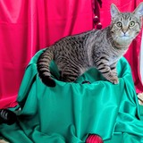 PXL_20251207_104609369.MP~2