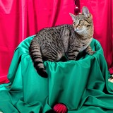 PXL_20251207_104601641~2