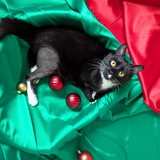 PXL_20251207_112455083