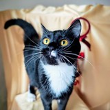 IMG-20251207-WA0123~2