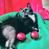 IMG-20251207-WA0144~2