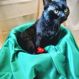 IMG-20251207-WA0157~3