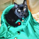 IMG-20251207-WA0166~2