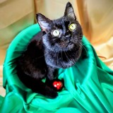 IMG-20251207-WA0161~2