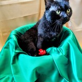 IMG-20251207-WA0157~2