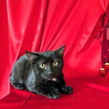 PXL_20251207_110928967~2