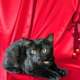 PXL_20251207_110940725~2