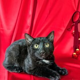 PXL_20251207_110941722~2