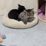 PXL_20251214_152242879.MP