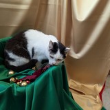 PXL_20251207_114657416