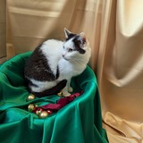 PXL_20251207_114654930