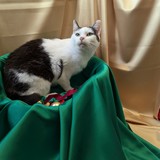 PXL_20251207_114624118