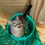 PXL_20251207_113822415.MP