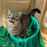 PXL_20251207_113818024