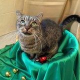 PXL_20251207_113814194