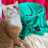 IMG-20251207-WA0099~2