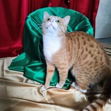 IMG-20251207-WA0096~2