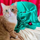 IMG-20251207-WA0098~2