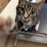 PXL_20251210_095552779