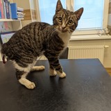 PXL_20251210_095620279.MP